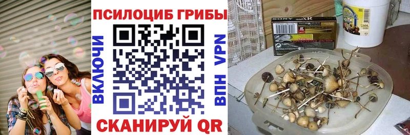 Галлюциногенные грибы мухоморы  Купить  Избербаш 
